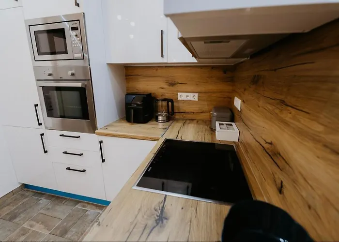 Appartement Zigic Dedici